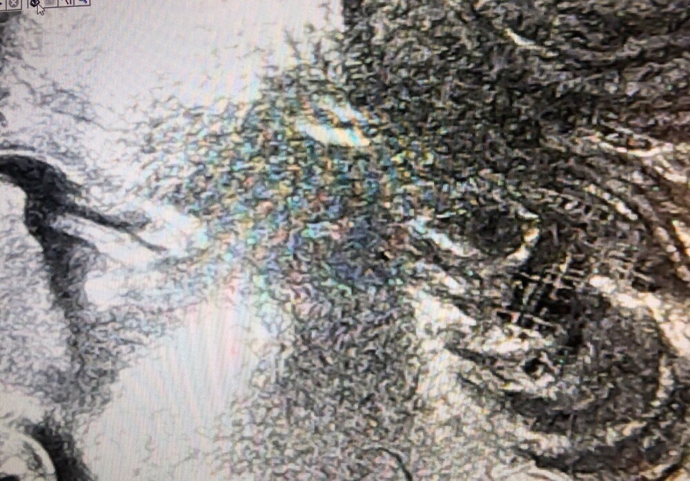 2019-West-Point-Memorial-Park-Grid-Pattern-Inside-Die-Break?-Strike-Through?