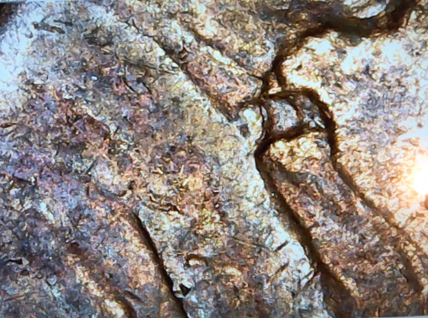 1949-D-Lincoln-Wheat-Cent-Clash-Or-Multiple-Strikes?-MM-D/D/D?
