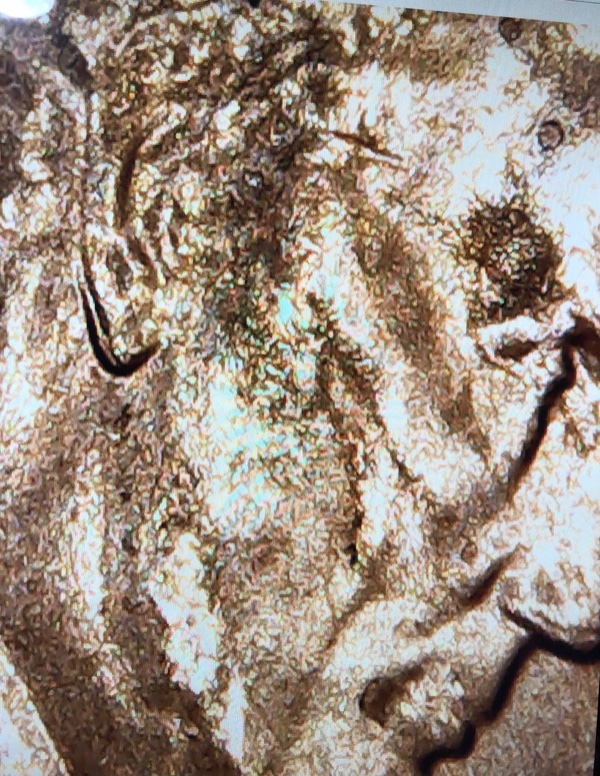 2020-D-Lincoln-Cent-Doubled-Ear?