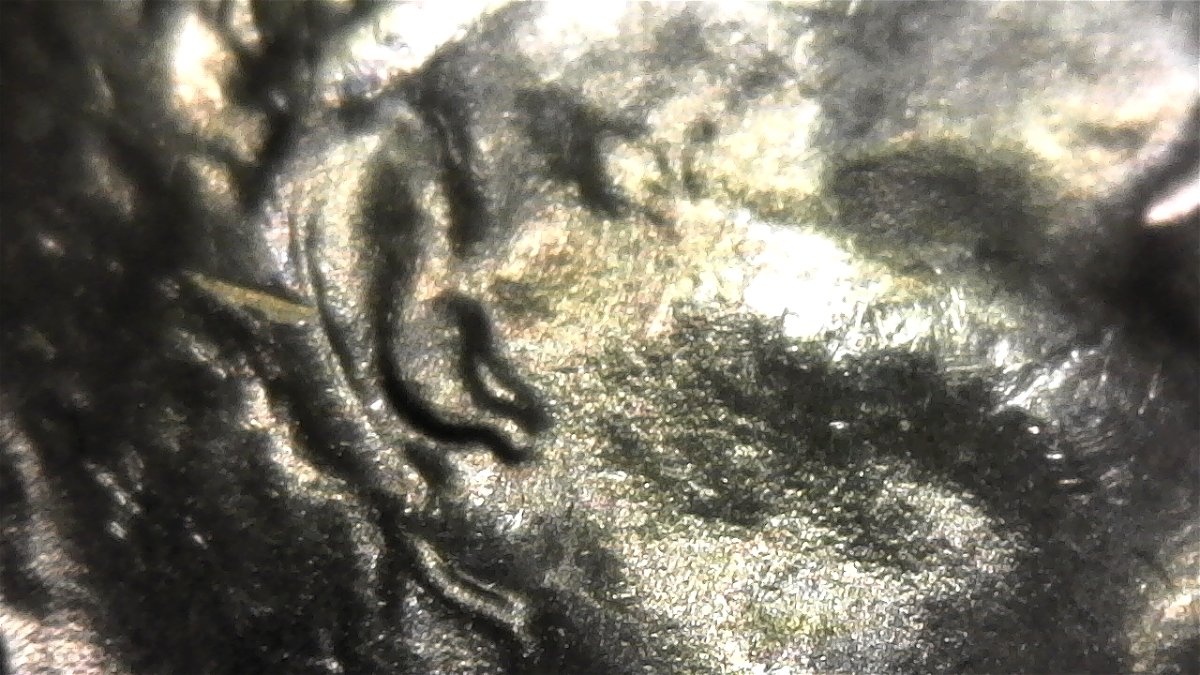 1957-D-Lincoln-Wheat-Cent-Double-Earlobe!