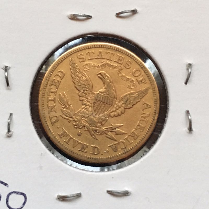 Collector-With-Some-Shiny-Coins