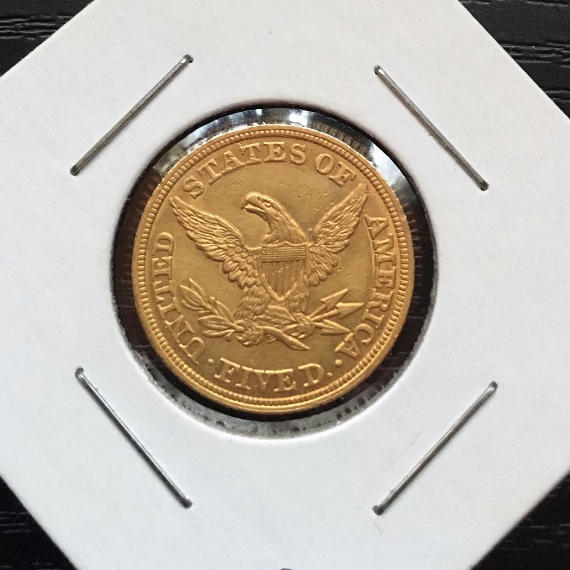 Collector-With-Some-Shiny-Coins