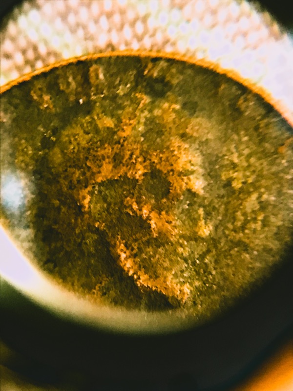 Any-Idea-What-Exactly-Is-Going-On-With-This-Wheat-Cent?