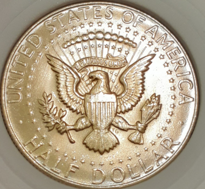 1968-D-Kennedy-Opinions