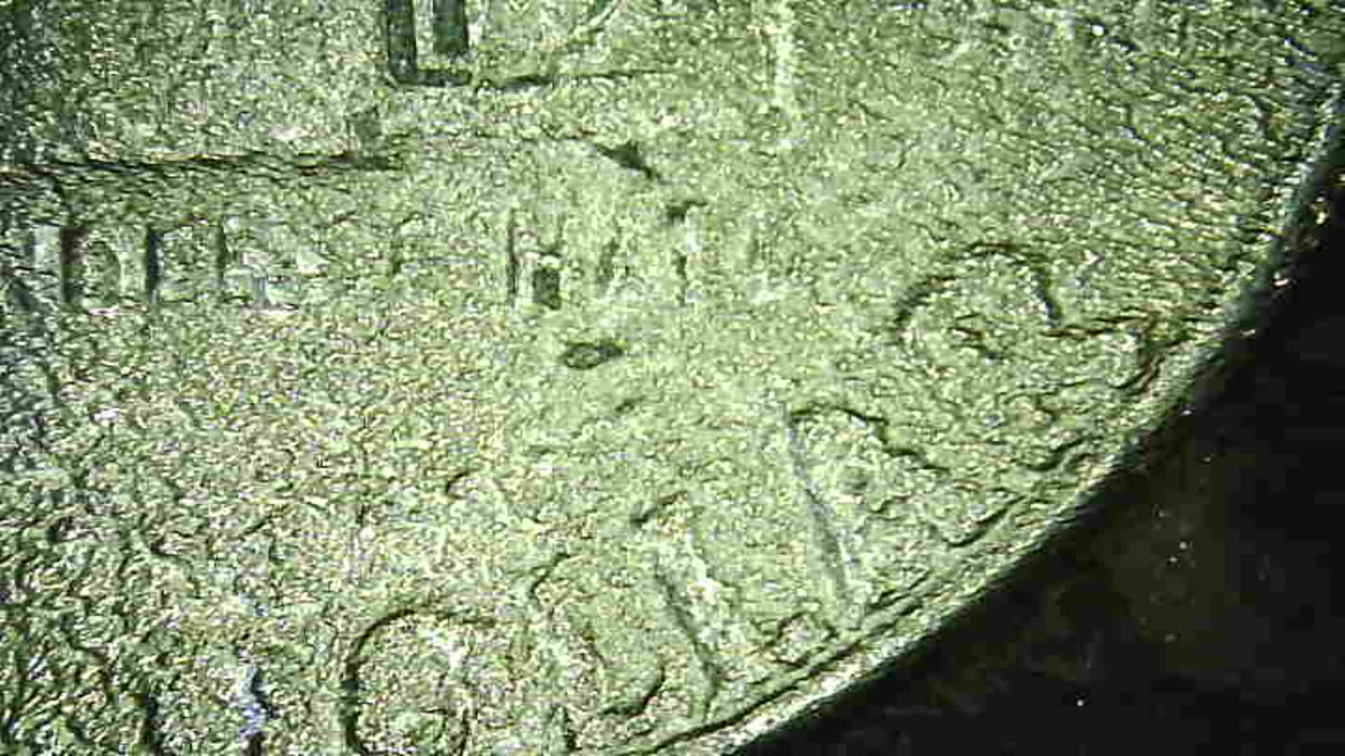 Found-This-Today...dramatic-Strike-Through-Kennedy-Bic-Half-Obverse&reverse