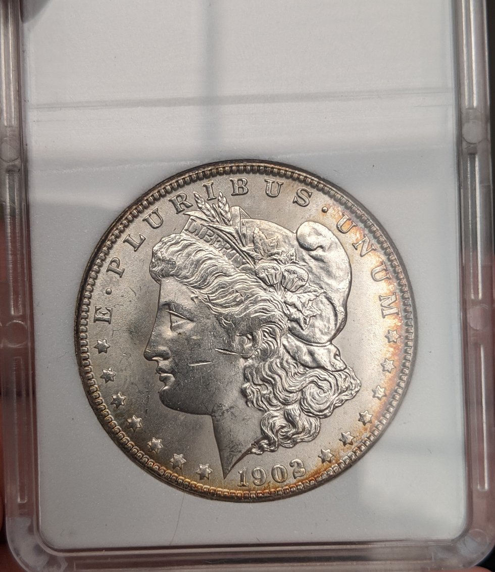 1902-O-Morgan-For-Grade.-Found-In-Old-Album