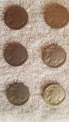 Need-Help-With-These-Buffalo-Nickels