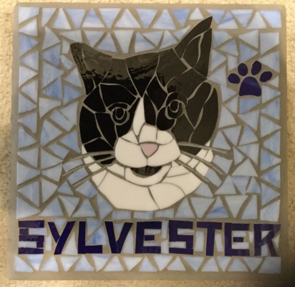 I-Lost-My-Kitty-Today