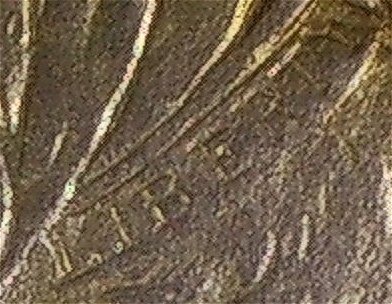 1900-S-Barber-Half-Dollar