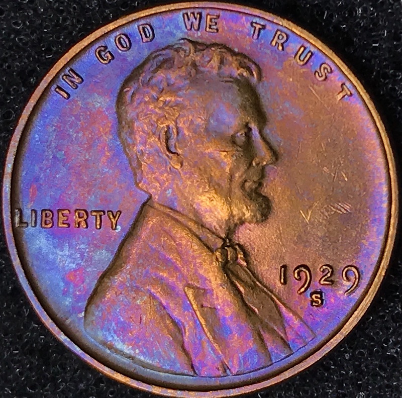 1929-S/S-LWC-FS-501-Crazy-Toned