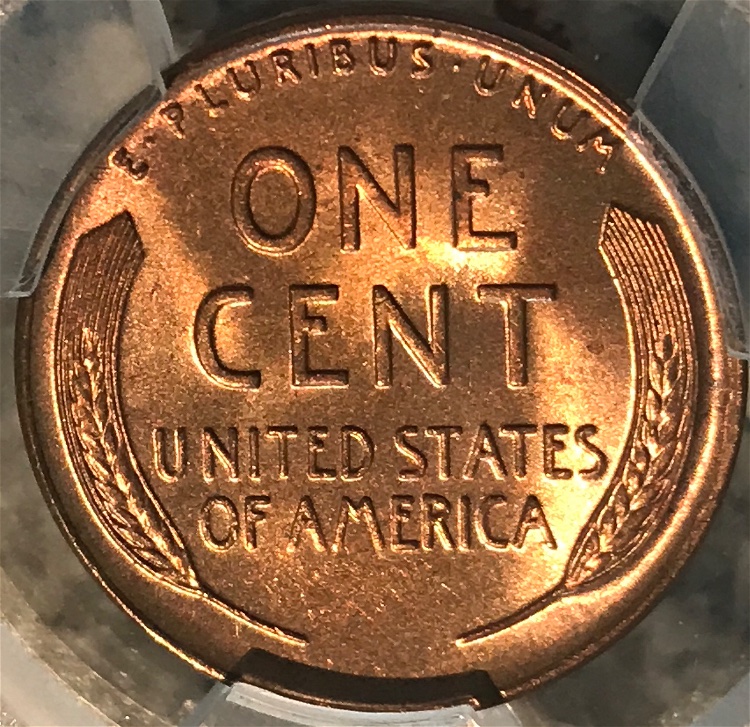 Part-Of-My-PCGS-Submission-Is-Back!