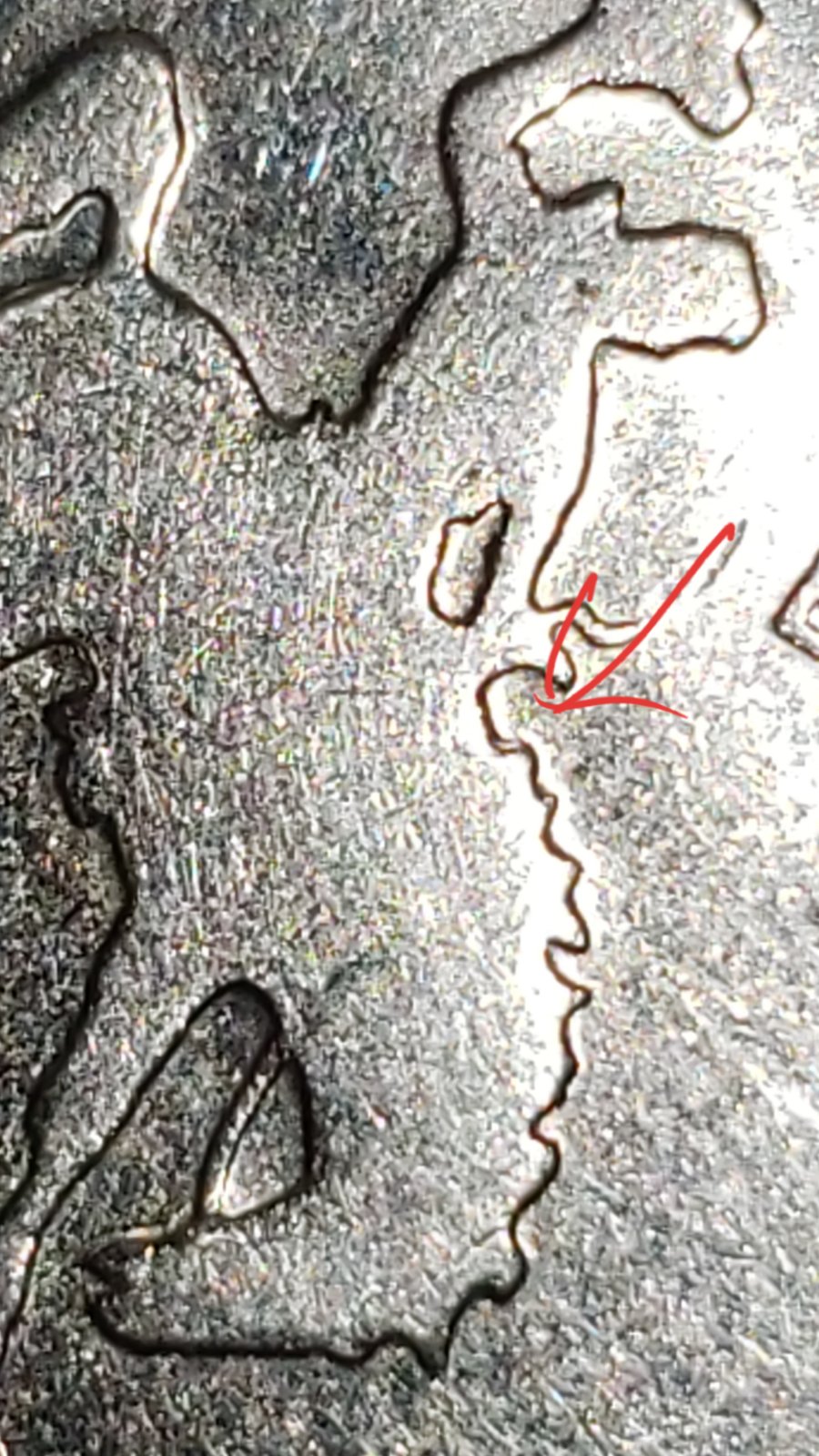 Possible-2007-D-Wyoming-Quarter-Doubled-Die-Reverse?