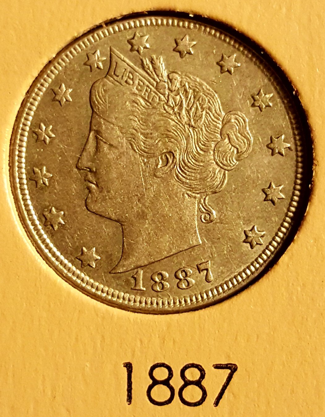 Liberty-Head-Nickel-Dansco-Album