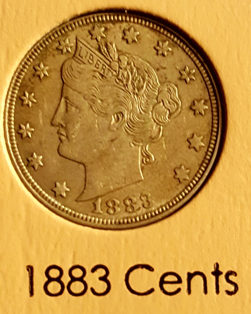Liberty-Head-Nickel-Dansco-Album