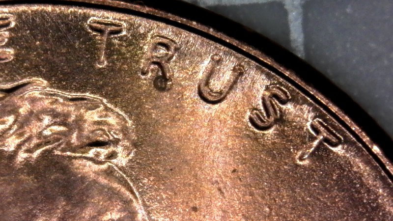 2017-P-Shield-Back-Penny-DD