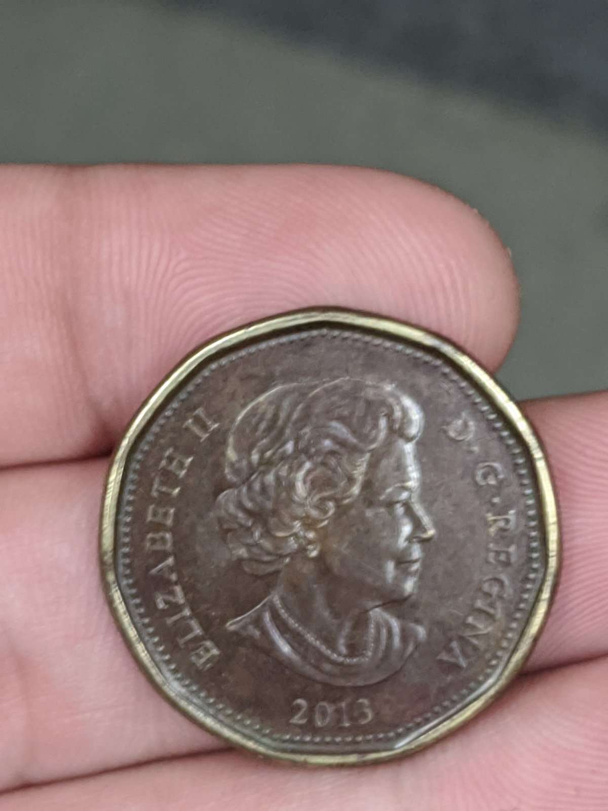 HI-I'm-New-To-This-Forum,-I-Got-A-Random-Wierd-Loonie