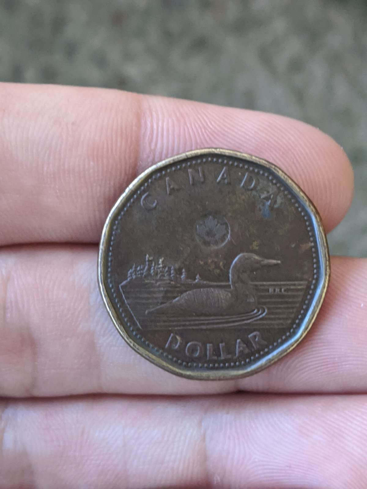 HI-I'm-New-To-This-Forum,-I-Got-A-Random-Wierd-Loonie