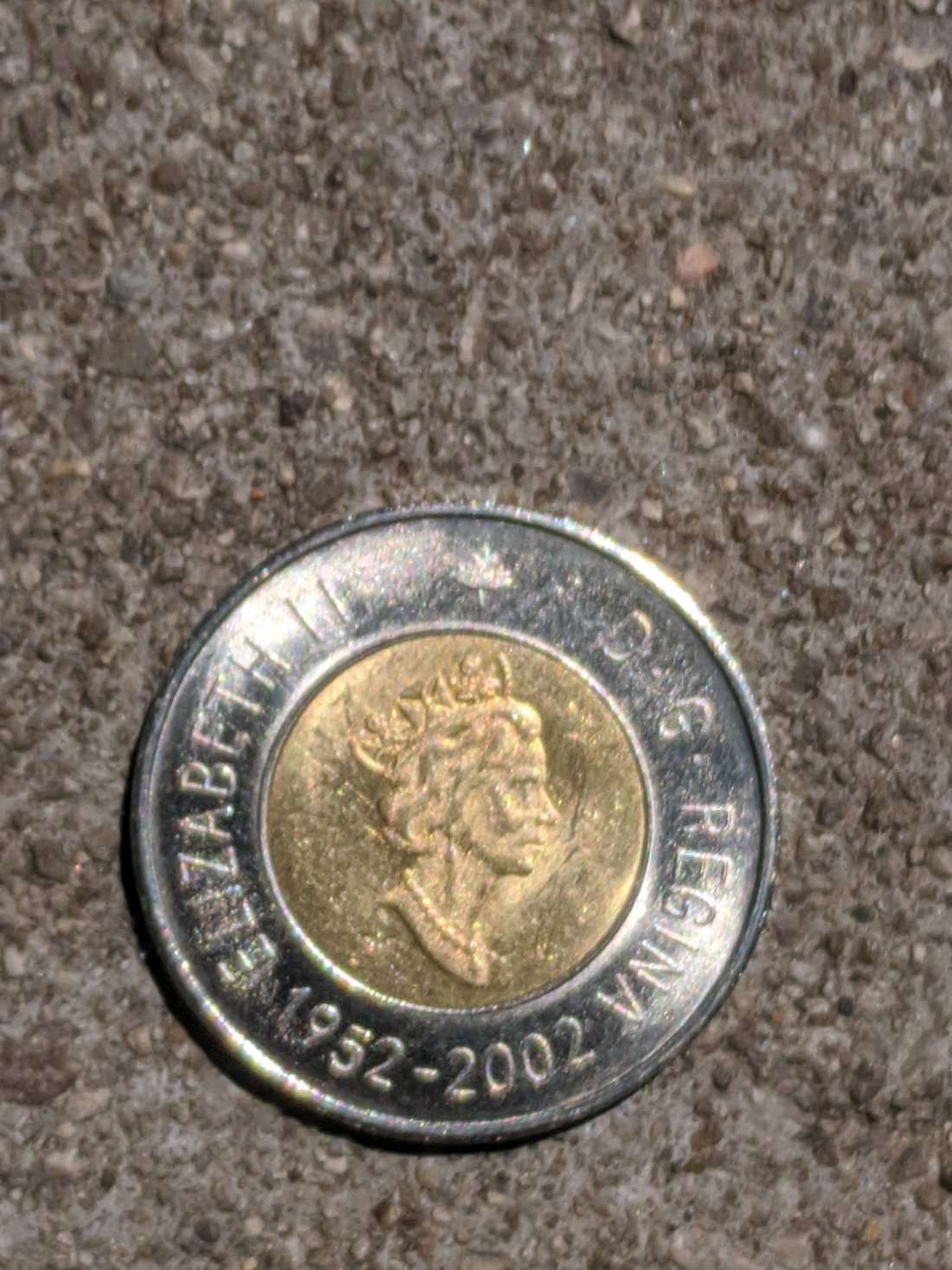 Counterfeit-Toonies?
