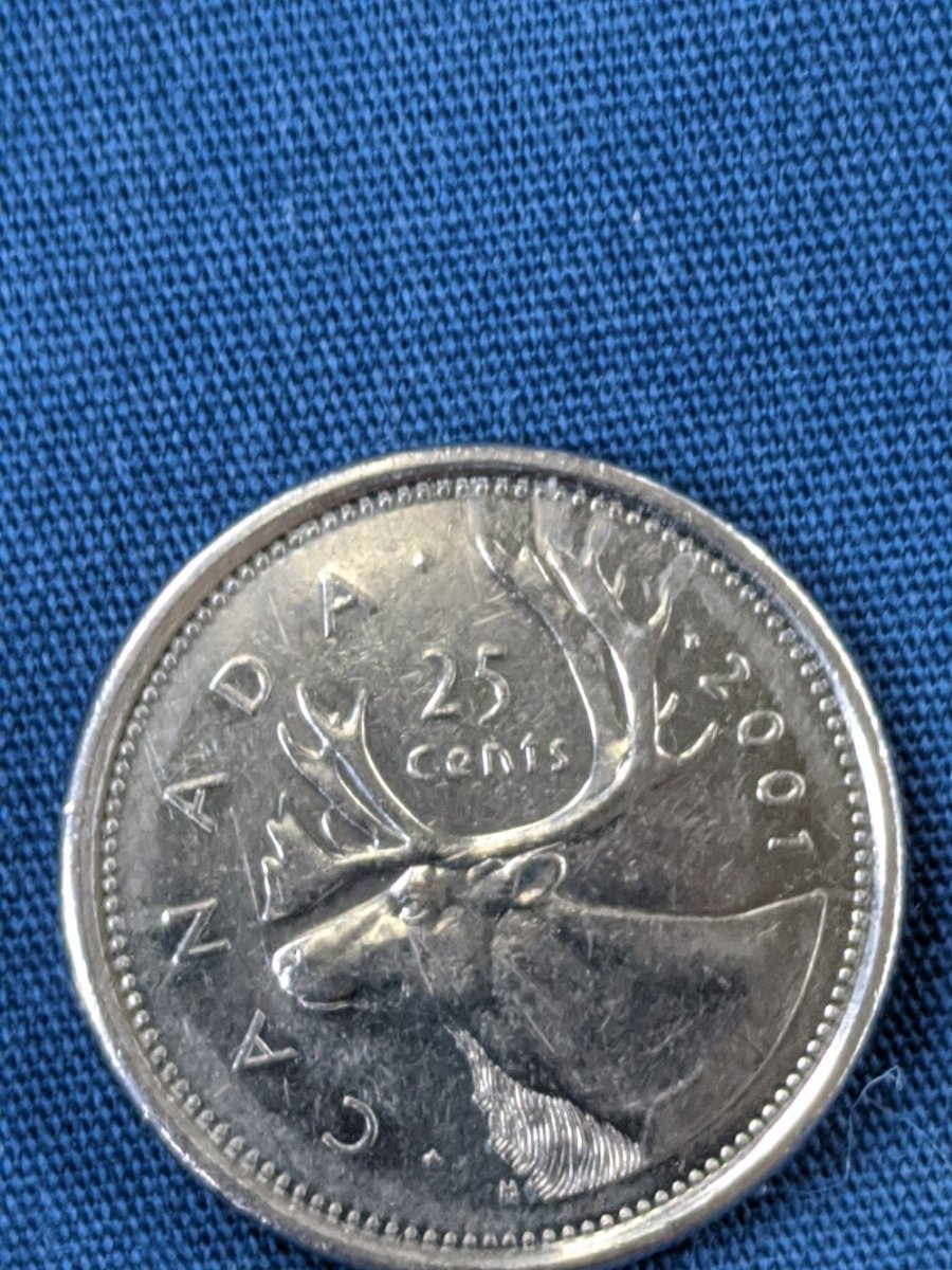 What-Causes-This-On-Canadian-Coins?