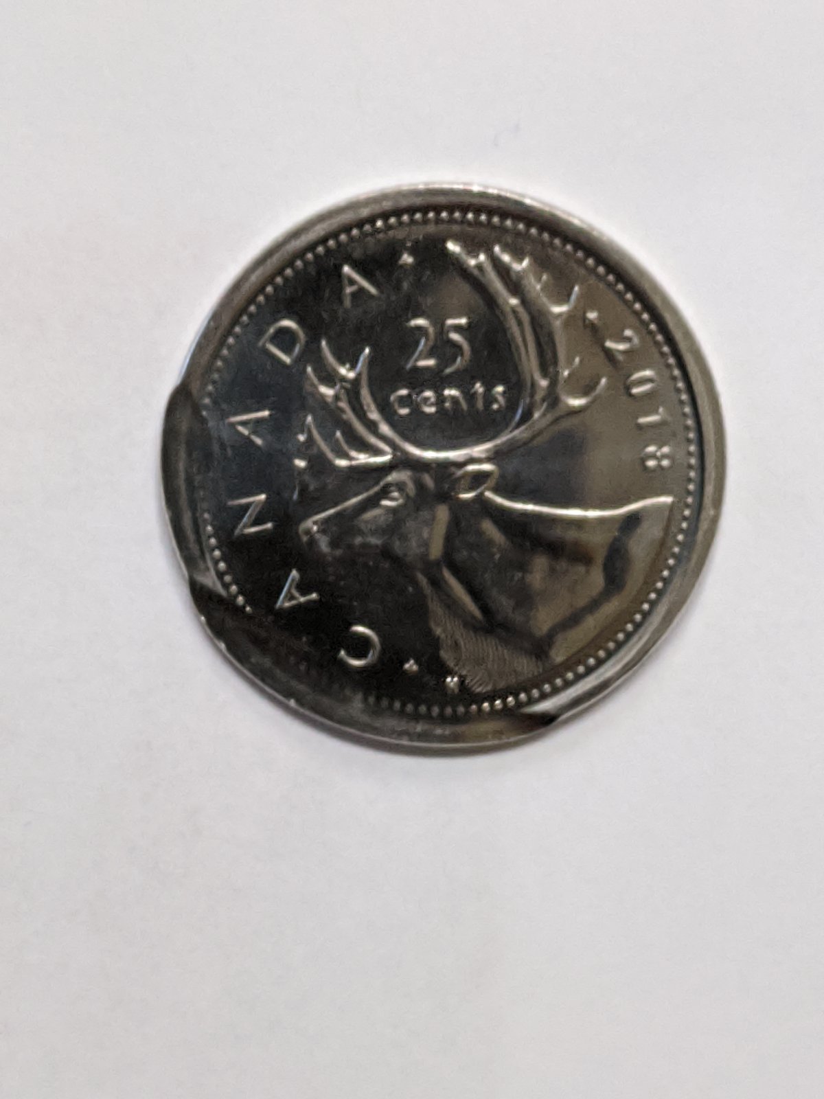 2018-Quarter---Error-Or-PMD?-The-Flat-Parts-Looks-Really-Smooth