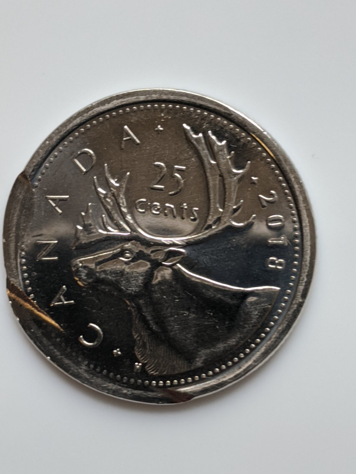 2018-Quarter---Error-Or-PMD?-The-Flat-Parts-Looks-Really-Smooth