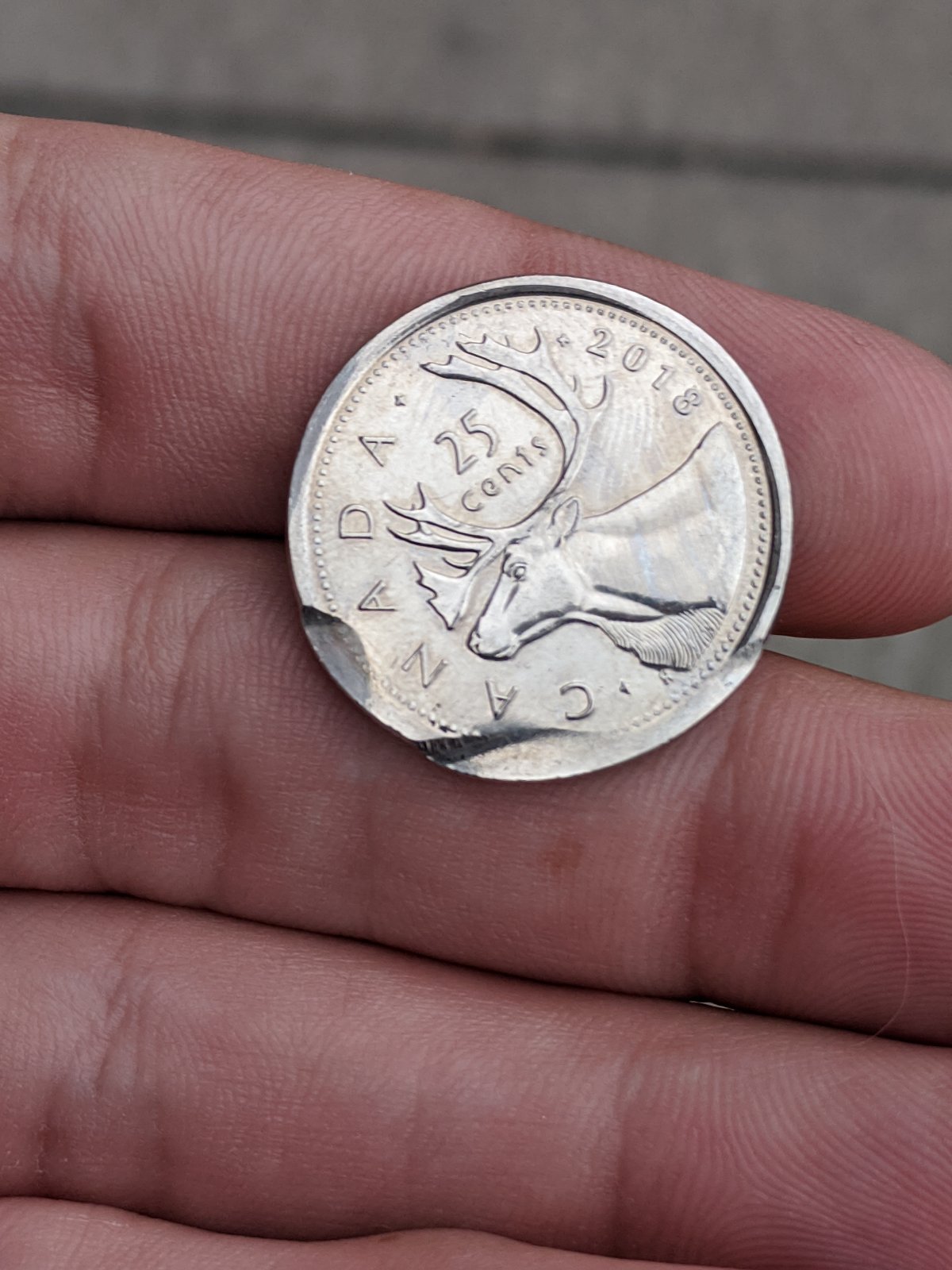 2018-Quarter---Error-Or-PMD?-The-Flat-Parts-Looks-Really-Smooth