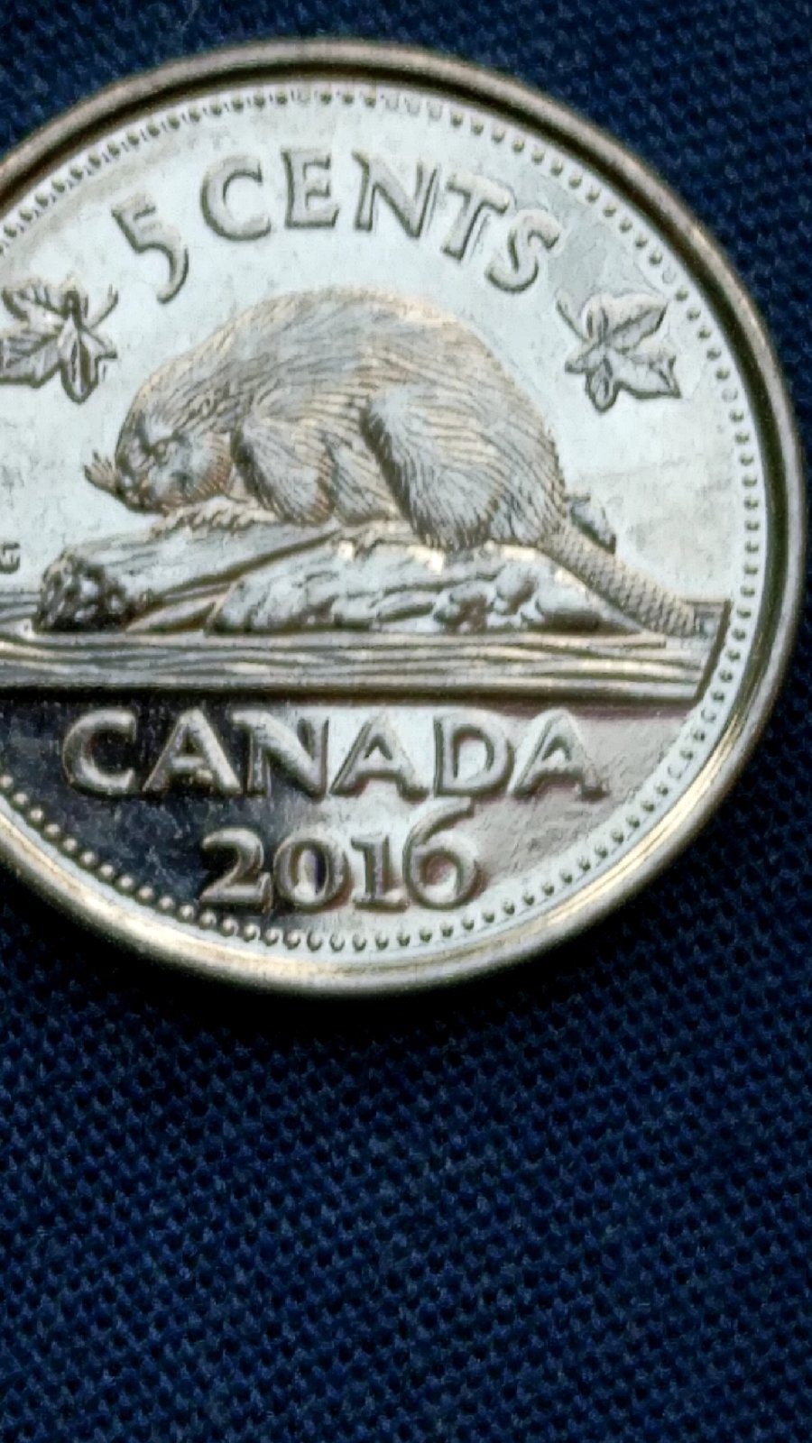 2016-Canadian-Nickel-Extra-Metal-On-First-A-In-Canada,-What-Is-This-Called?