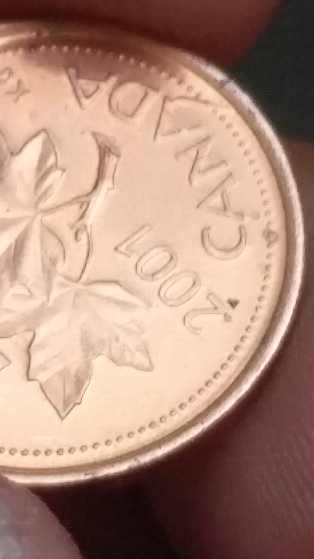 Is-This-A-Long-Die-Chip?-Or-Would-It-Be-A-Cud?