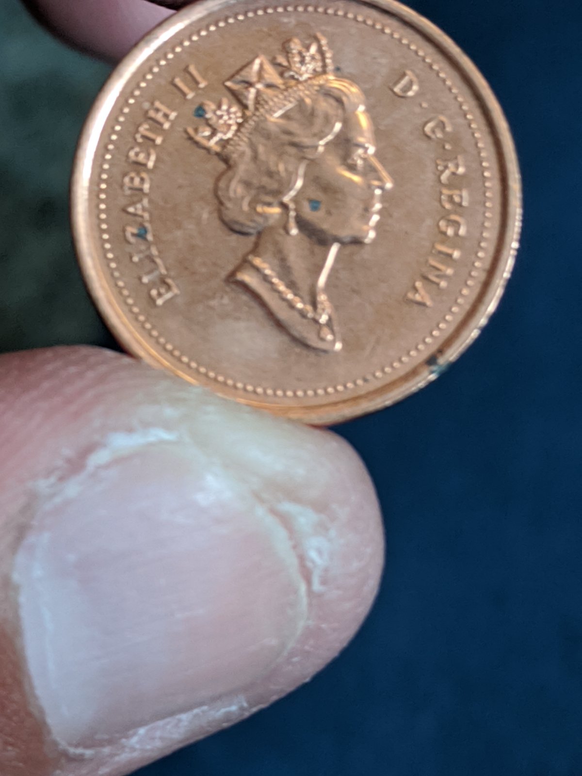 Is-This-A-Long-Die-Chip?-Or-Would-It-Be-A-Cud?