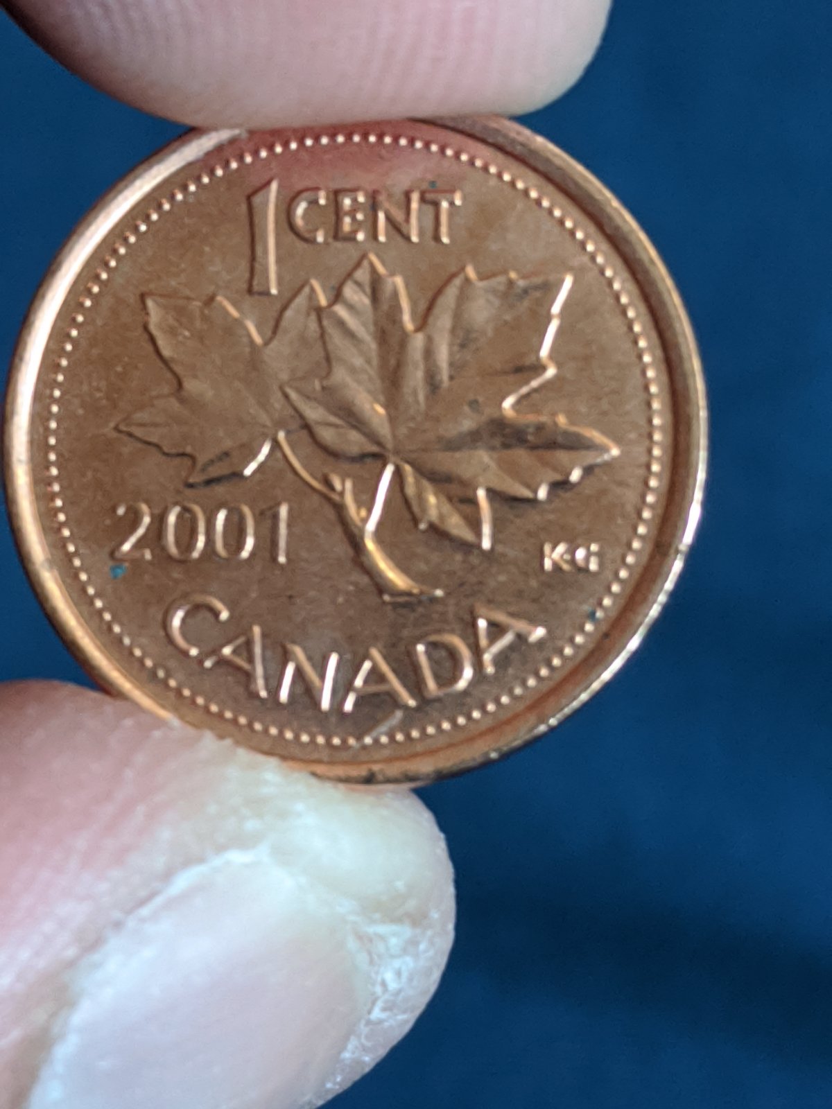 Is-This-A-Long-Die-Chip?-Or-Would-It-Be-A-Cud?