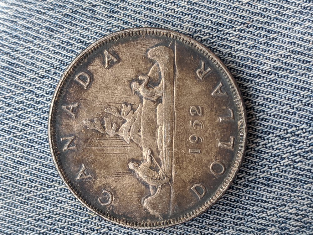 Some-Of-My-Friends-Silver-Coins-And-Large-Cents