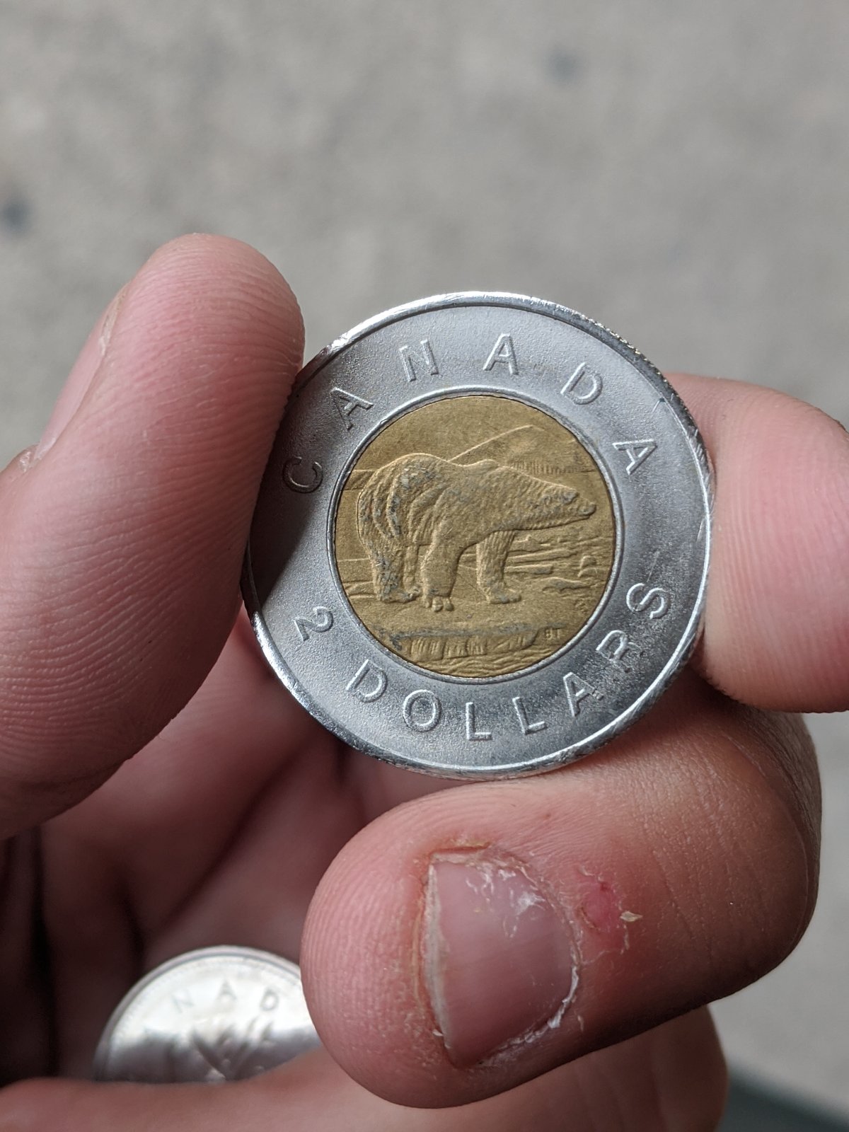 Counterfeit-Toonies-Are-Going-To-Be-A-Significant-Problem