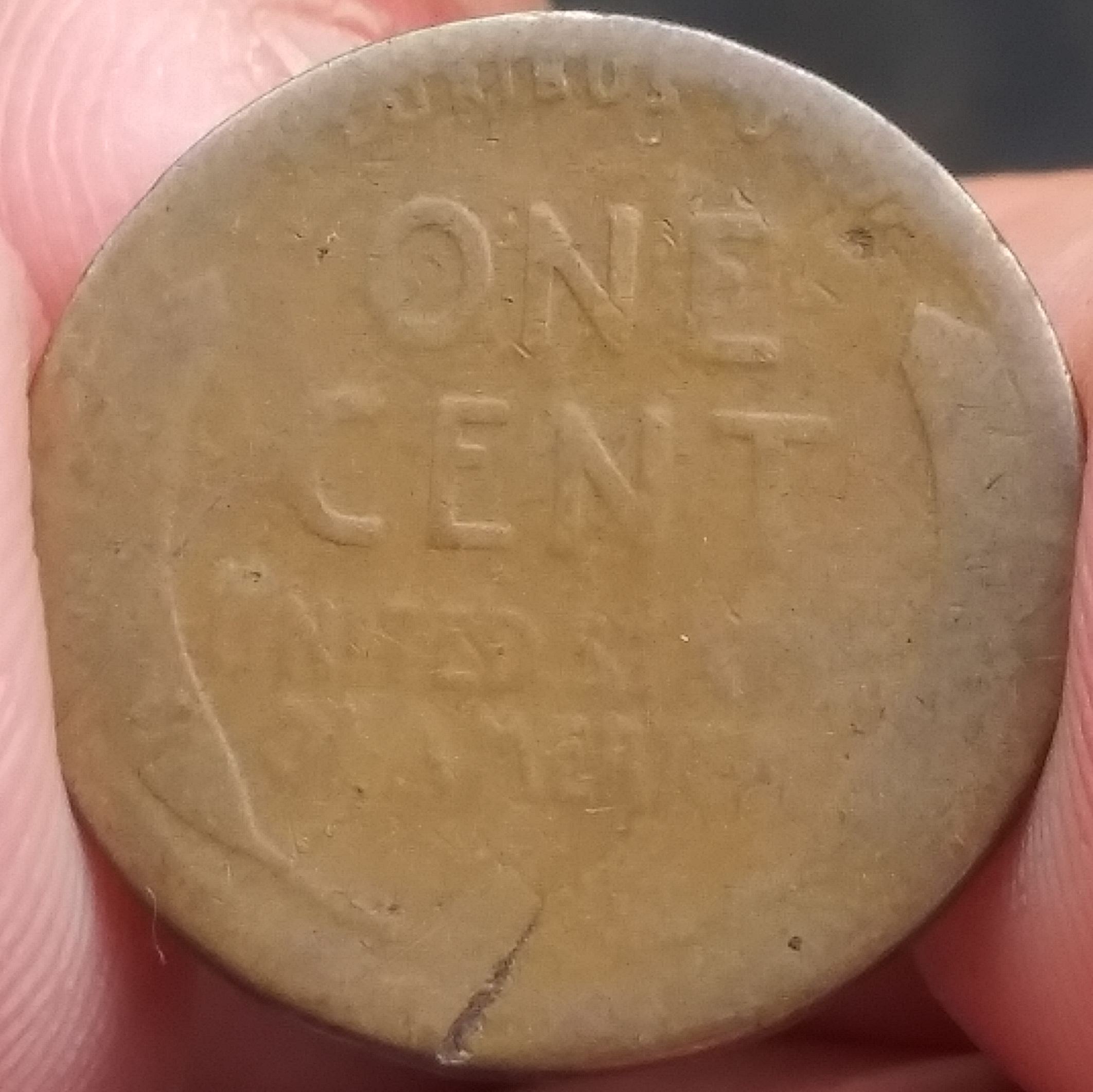 Oldest-Wheat-Cent-Find-So-Far,-1919-S,-Got-Excited-To-Soon.