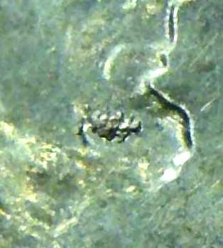 2018-Lincoln-Shield-Cent-With-PMD?