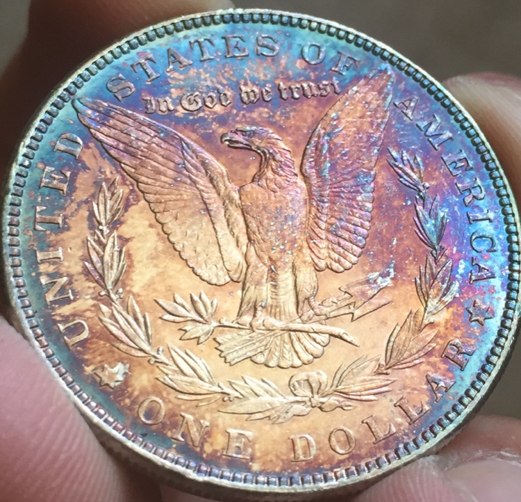 1886-Morgan-Legit-Toning-?