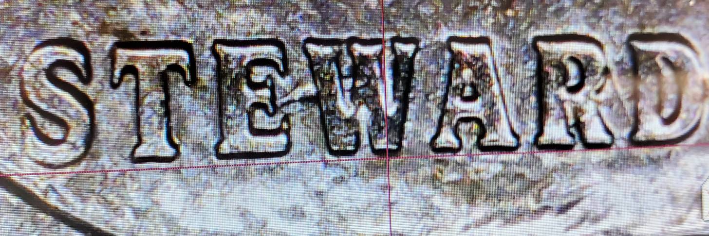 Die-Chip-Error-On-2020-Marsh-Quarter.