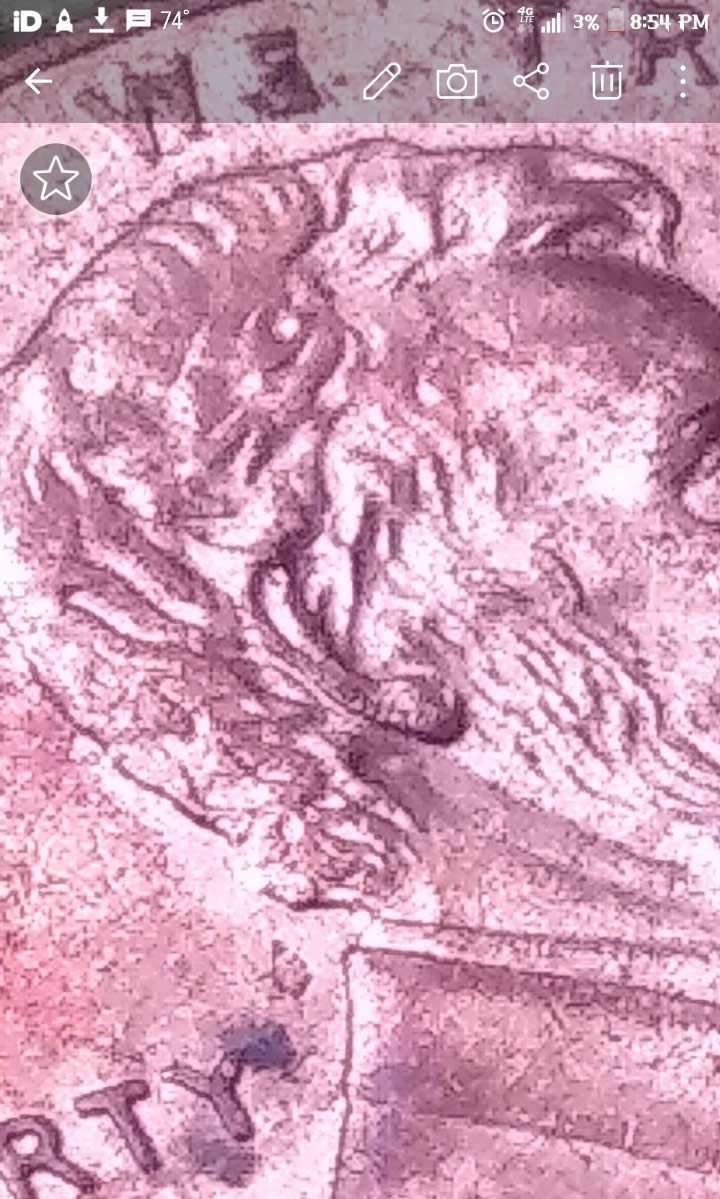 1988-P-Doubled-Ear-LMC