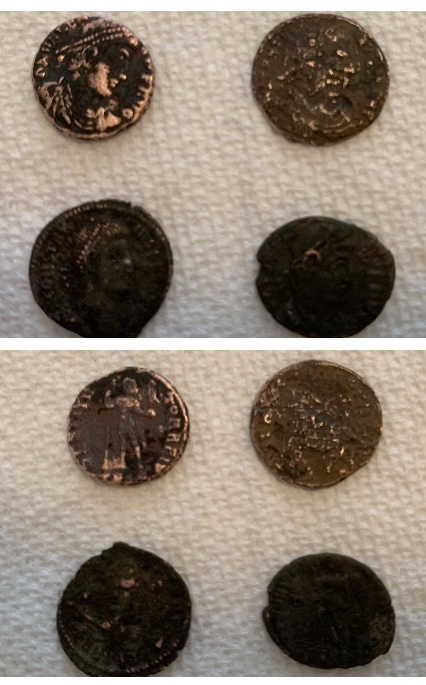 Figured-It-Out-How-To-Add-My-Photo!-Can-Anyone-Indentify-These?
