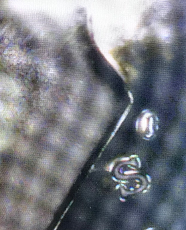 2009-S-Proof-Dime-Die-Chip?