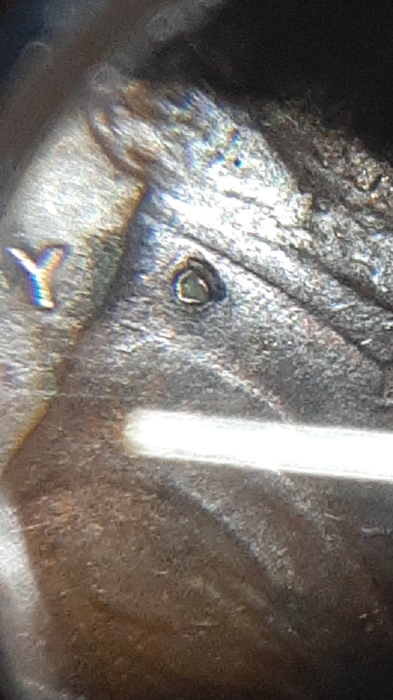 1984-D-Penny-Gem-Or-Junk?