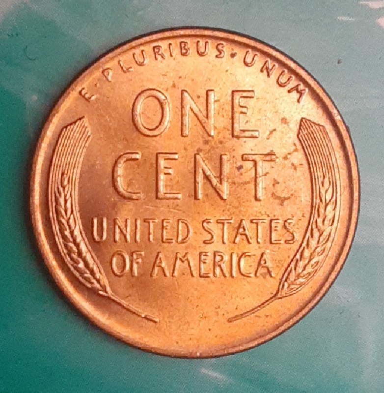 1958-D-Wheat-Cent-Is-This-What-Wheat-Ear-Doubling-Looks-Like?