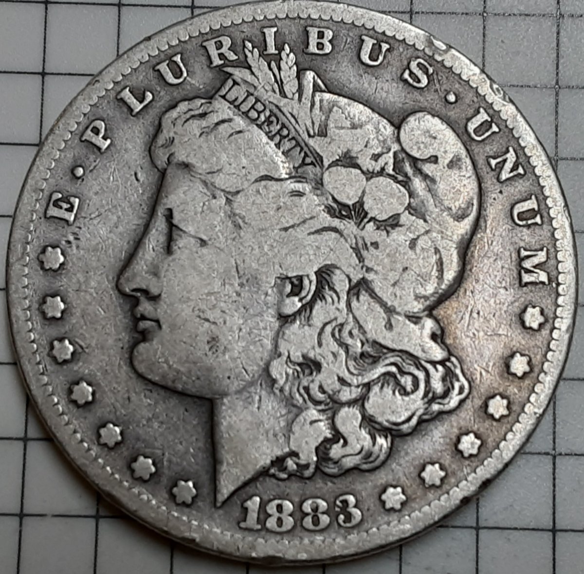 1883-Morgan-Dollar-Grade-Check