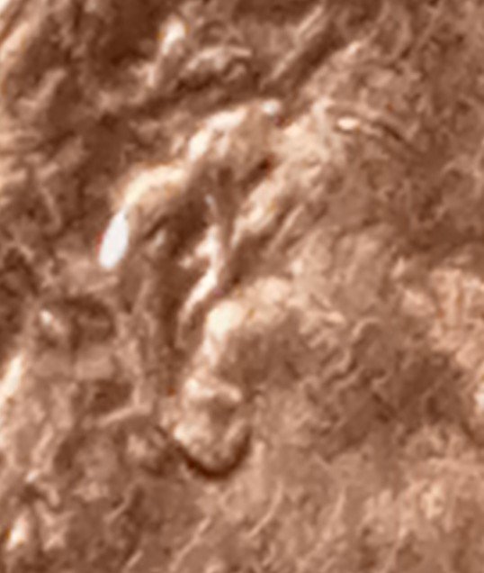 2021-Lincoln-Shield-Cent-?