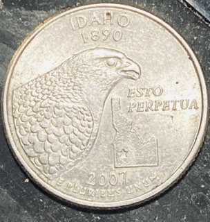 2007-Idaho-Quarter-Please-Help-Me-Identify-