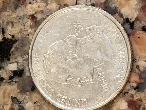 New-Member-&-Coin-To-Review-2008-New-Mexico-Quarter
