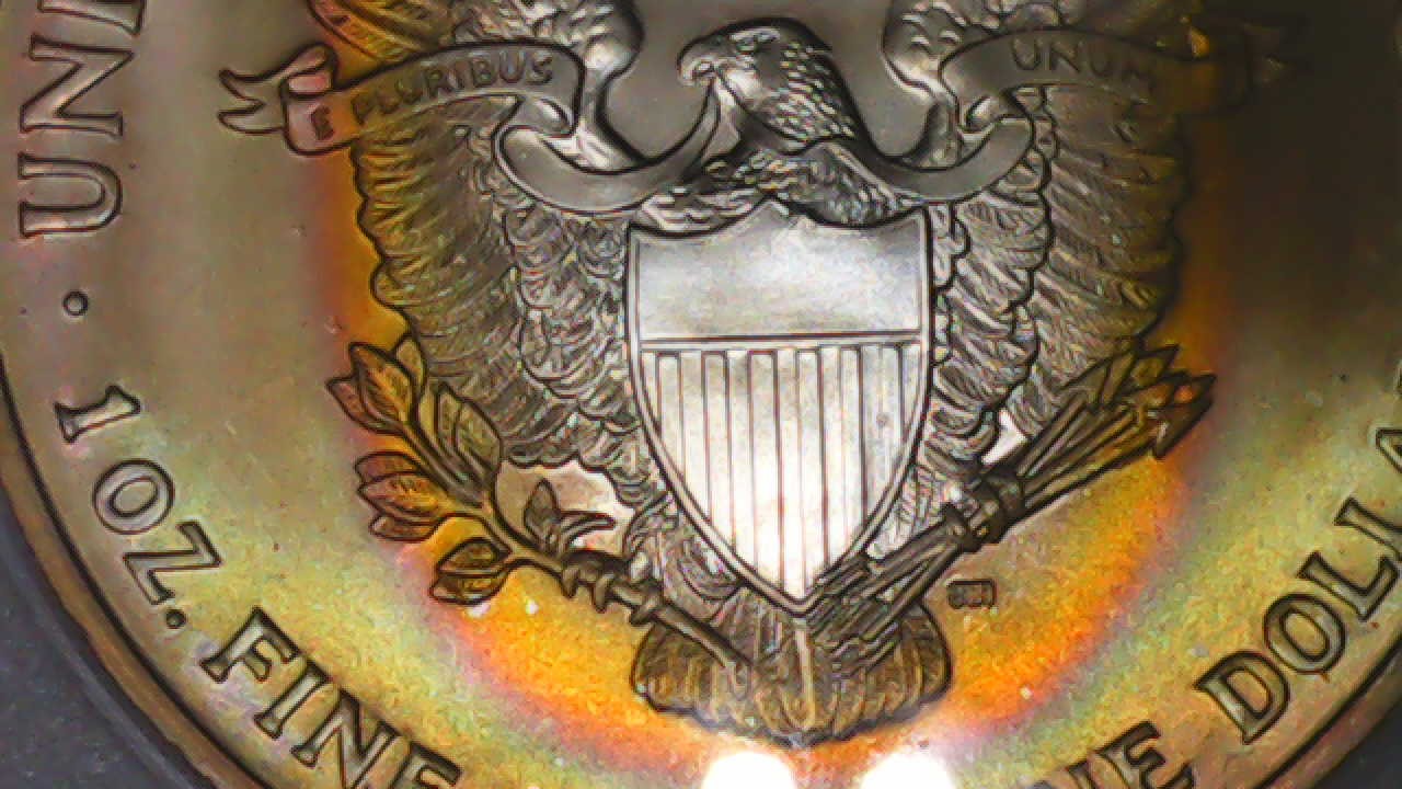 Incredible-Rainbow-Toned-2004-W-Walking-Liberty-Dollar,-Should-I-Buy-Another?