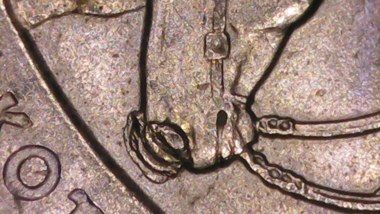 2016-Roosevelt-Quarter-With-Extreme-Die-Chip-On-Horse's-Nose.