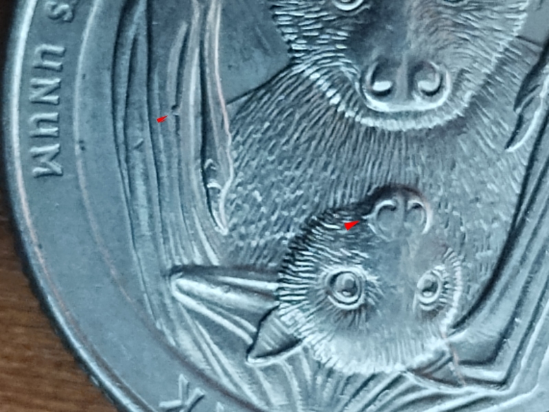2020-Quarter-American-Samoa-Error