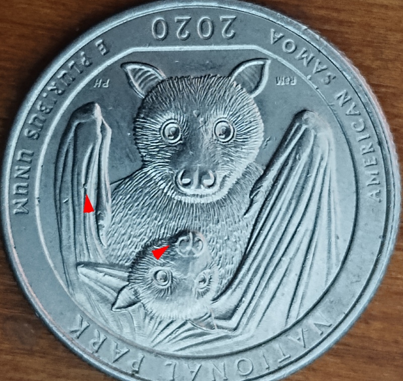2020-Quarter-American-Samoa-Error