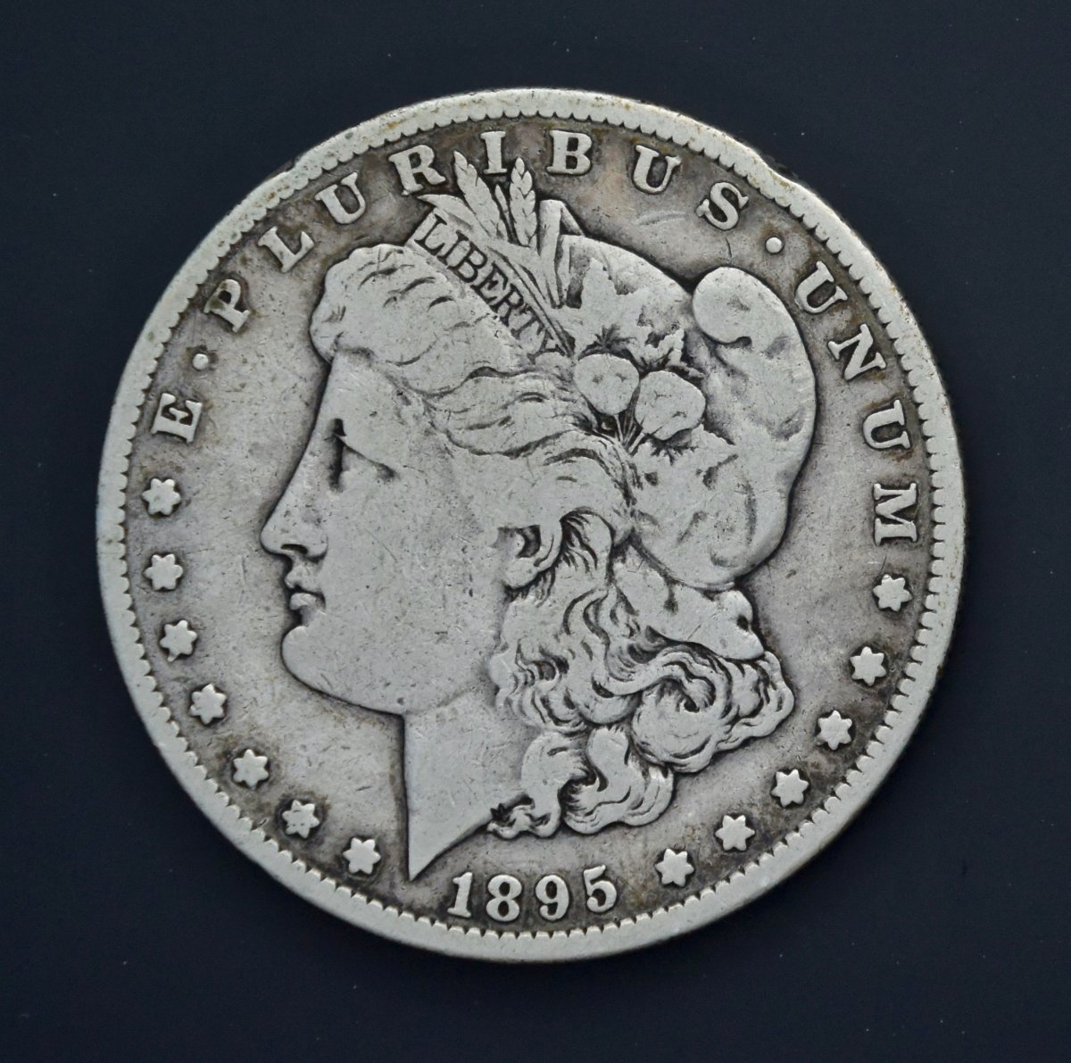 1895-S-Morgan---Your-Opinion